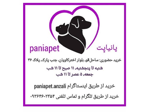 پت شاپ پانیا در انزلی ثبت شده در پت لینک بانک جامع اطلاعاتی حیوانات