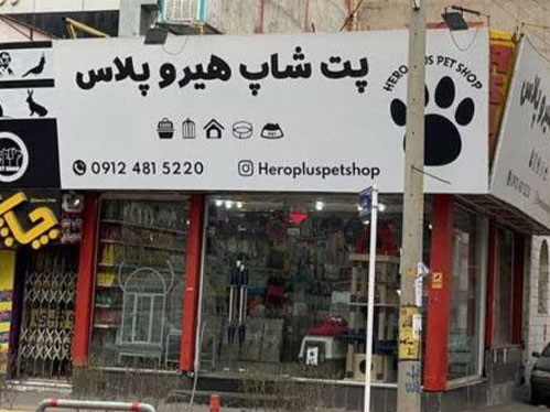 پت شاپ هیروپلاس در قزوین | petlink 