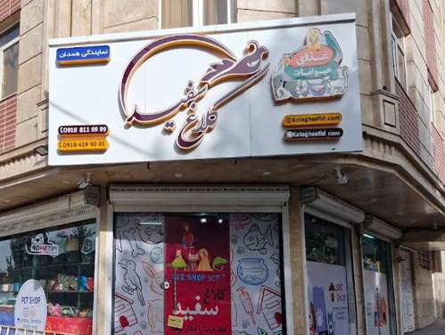 پت شاپ کلاغ سفید در همدان برای خرید غذای حیوانات | petlink.ir