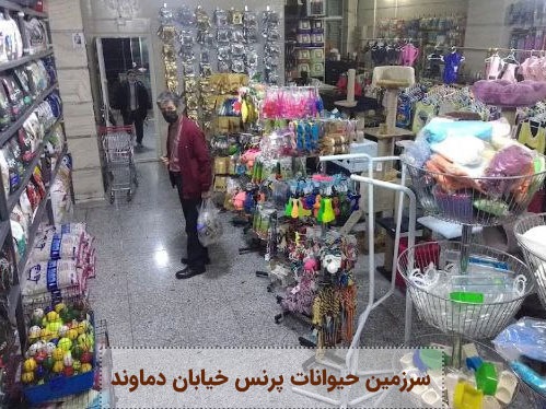 سرزمین حیوانات پرنس خیابان دماوند | پت لینک 