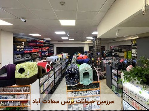 پت شاپ سرزومین حیوانات پرنس سعادت آباد | پت لینک 
