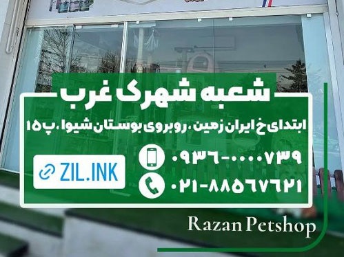 پت شاپ رازان تهران شعبه شهرک غرب+ آدرس، لوکیشن ،تلفن ، اینستاگرام و ... 