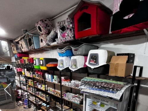 فروشگاه حیوانات پیکا در اراک | پت شاپ در اراک