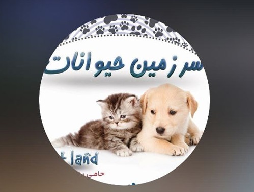 پت شاپ سرزمین حیوانات  اراک | پت شاپ های اراک