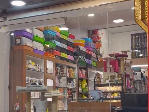 دامپزشکی در قم| داروخانه دامپزشکی دکتر دیبایی در قم 