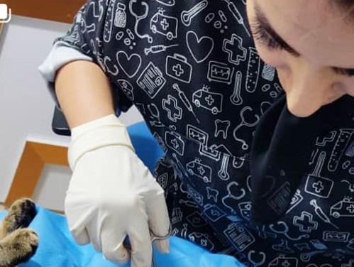 پت شاپ و دامپزشکی مرکزی در خرم آباد | دامپزشکی های خرم آباد