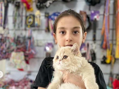 پت شاپ و دامپزشکی مرکزی در خرم آباد | پت شاپ های خرم آباد