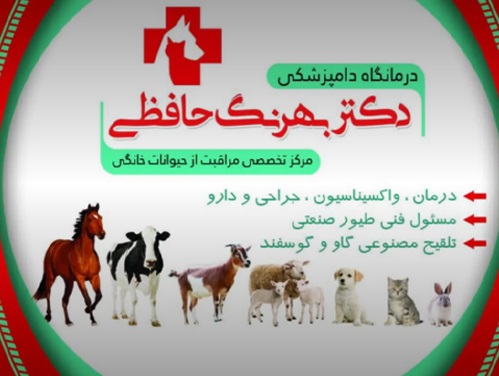 درمانگاه دامپزشکی دکتر حافظی در خرم آباد در پت لینک 