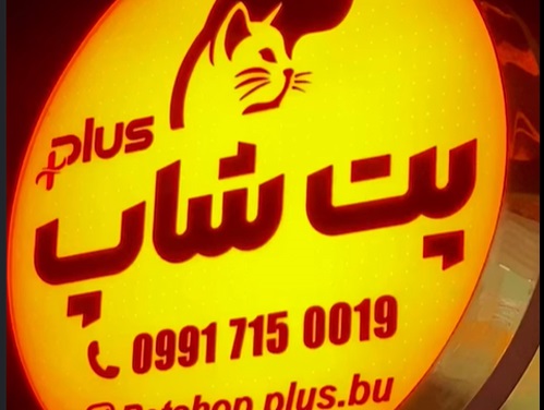 پتشاپ پت پلاس در خیابان سنگی بوشهر | پت شاپ در بوشهر