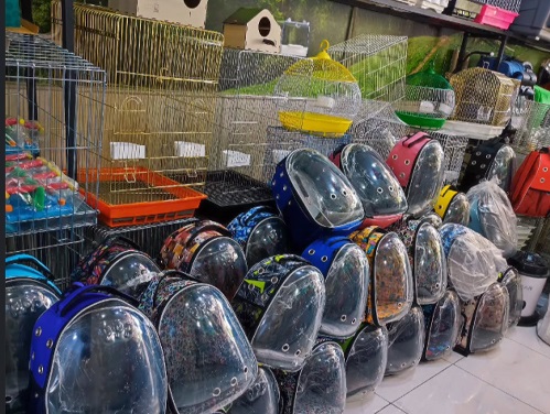 پت شاپ پردیسان قم دنیای قفس ثبت شده در لیست پت شاپ های قم پت لینک 