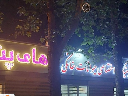 بیمارستان دامپزشکی شبانه روزی گرگان های پت 