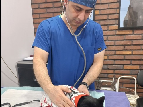 drbehnamdehbandi - دامپزشکی بهشهر دکتر دهبند