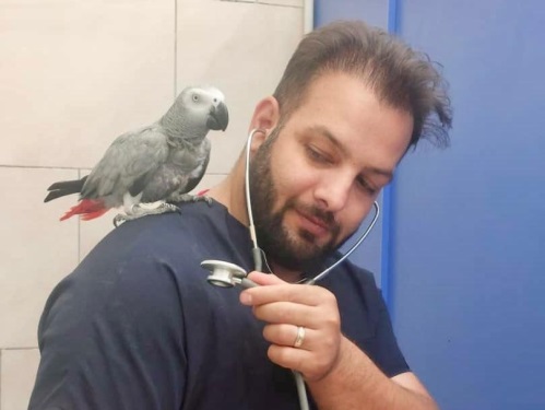 کلینیک دامپزشکی  دکتر مدرسی در اصفهان