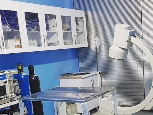 بیمارستان دامپزشکی پارس وت - شعبه شهر صدرا شیراز