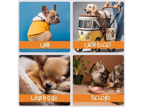 پت شاپ پازتیو در شیراز ثبت در پت لینک | shiraz petshops 