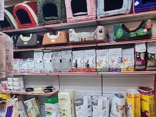 پت شاپ مهر در شیراز | پت شاپ های شیراز 