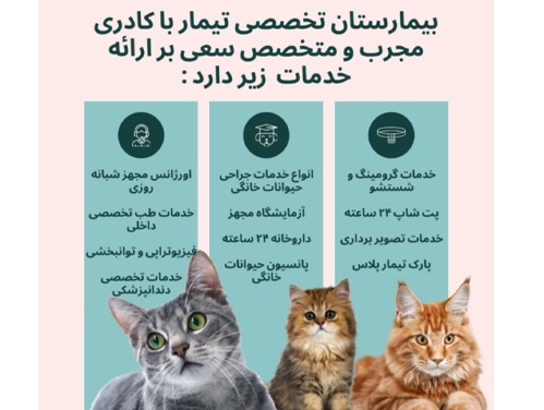 آرایشگاه حیوانات در کرمان | پت شاپ در کرمان 