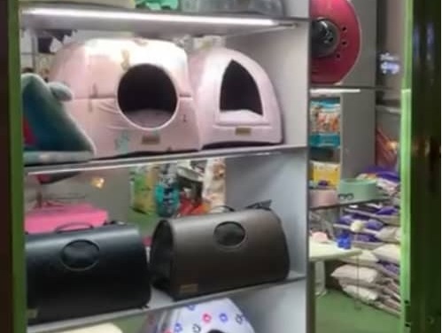 پت شاپ هپی پت در اراک خیابان امام خمینی | پت شاپ های اراک