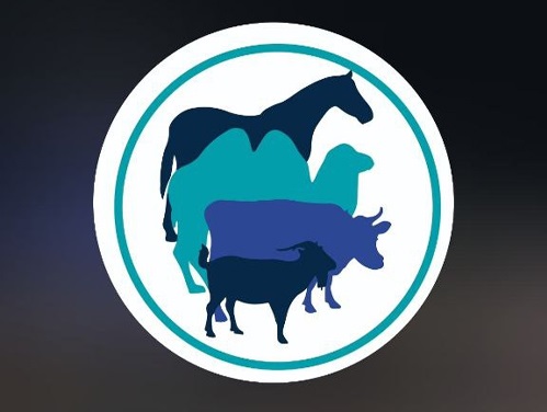 پت شاپ ایران در کرمان | پت شاپ های کرمان 