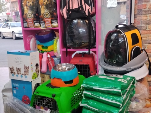 پت شاپ رنگین پت