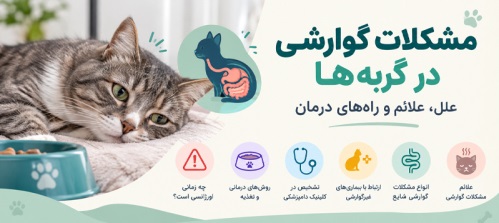 مشکلات گوارشی در گربه ها