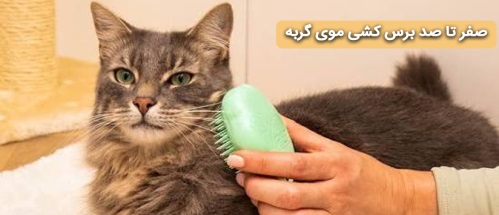 آموزش برس کشی و باز کردن گره مو گربه
