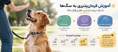 آموزش فرمان‌پذیری و مهندسی رفتار سگ