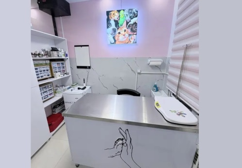 کلینیک دامپزشکی زرین در جردن