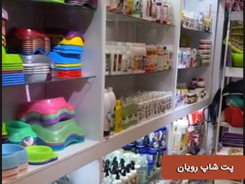 پت شاپ رویان دکتر کریم آبادی شهر رویان