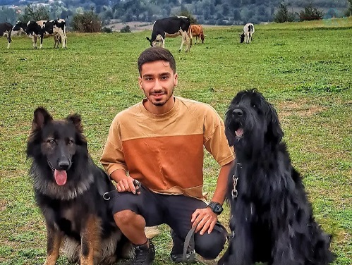 اطلاعات تماس و آدرس مربی و رفتار شناس سگ محمد نباتی