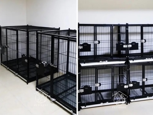 پانسیون و خدمات رفاهی حیوانات خانگی پتی رست در پونک (سگ، گربه و پرندگان)