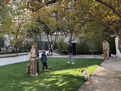 هتل پانسیون حیوانات خانگی پتهران در اوین