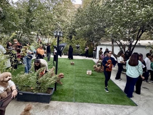 هتل پانسیون حیوانات خانگی پتهران در اوین