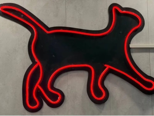 پانسیون تخصصی گربه آنیلا در بام  لند