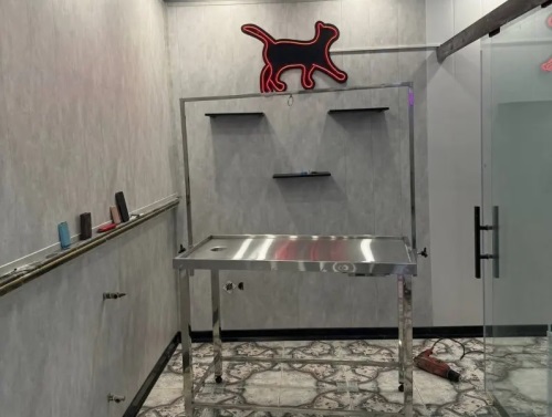 پانسیون تخصصی گربه آنیلا در بام  لند