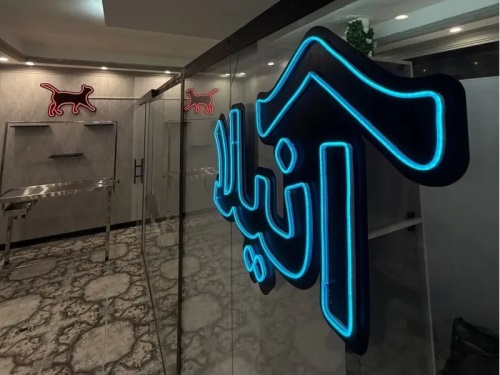 پانسیون تخصصی گربه آنیلا در چیتگر