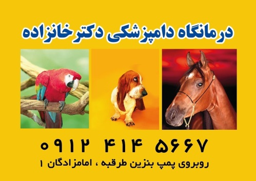 کلینیک دامپزشکی دکتر خانزاده در طرقبه