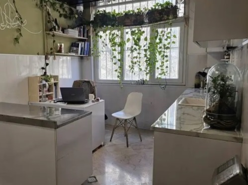 کلینیک دامپزشکی فراپت در صادقیه