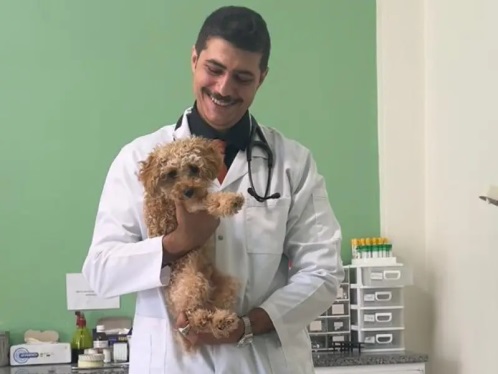 دامپزشکی سیار دکتر فربود والیانی در تهران  (ویزیت در منزل/ محل)