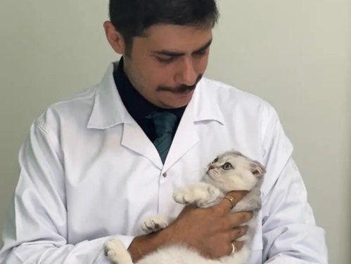 دامپزشکی سیار دکتر فربود والیانی در تهران  (ویزیت در منزل/ محل)