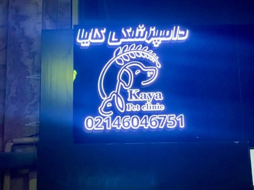 کلینیک دامپزشکی کایا در اشرفی اصفهانی