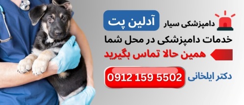کلینیک دامپزشکی حیوانات