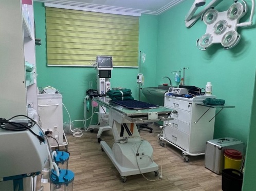 کلینیک دامپزشکی حیوانات خانگی تپش در لاهیجان