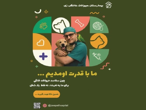 بیمارستان دامپزشکی حیوانات خانگی زی در شهرک غرب