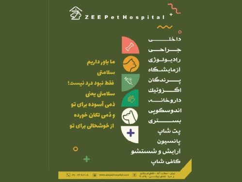 بیمارستان دامپزشکی حیوانات خانگی زی در شهرک غرب