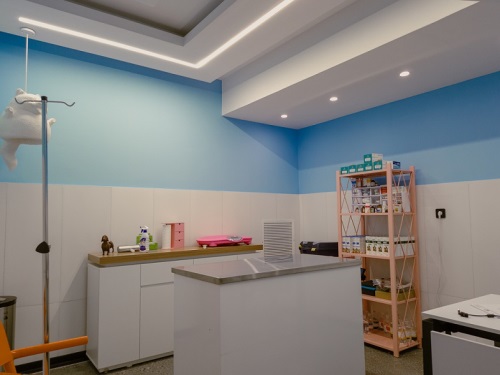 مجتمع دامپزشکی جان در اصفهان