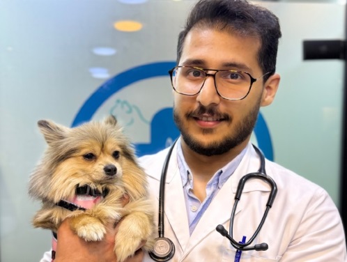 دکتر کیارش مختاری | دامپزشک متخصص حیوانات خانگی در شهرک غرب
