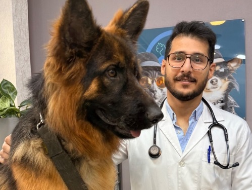 دکتر کیارش مختاری | دامپزشک متخصص حیوانات خانگی در شهرک غرب
