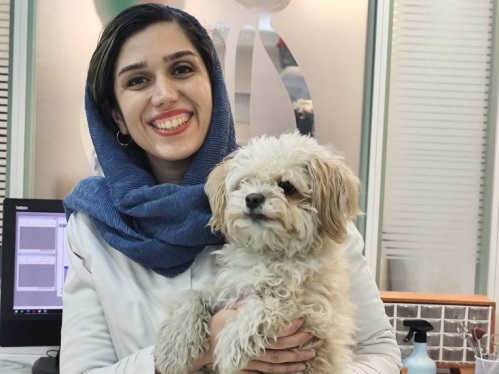 کلینیک دامپزشکی درمان در شهرک گلستان