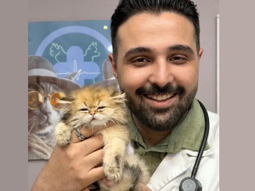 کلینیک دامپزشکی دکتر افشین حسینی در شهرک غرب